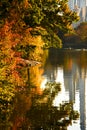 Autumn colorful trees and pond at Central park in New York City Royalty Free Stock Photo