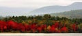 Autumn In Vermont Panorama Royalty Free Stock Photo