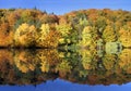 Amazing autumn forest reflected in a calm lake Royalty Free Stock Photo