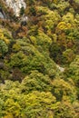 Autumn ladscape with forest around Krichim Reservoir, Rhodopes Mountain, Bulgaria