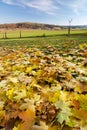 Amazing autumn landscape