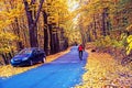 Amazing autumn landscape with car and man on bike and yellow leaves along road in cosy forest