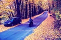 Amazing autumn landscape with car and man on bike and yellow leaves along road in cosy forest