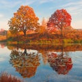 Amazing autumn landscape, forest lake with reflection.