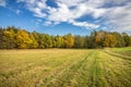 Amazing autumn landscape with green meadow and colorful forest under blue sky Royalty Free Stock Photo