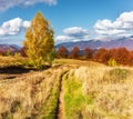 An amazing autumn panorama with a picturesque sky. Royalty Free Stock Photo