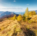 An amazing autumn panorama with a picturesque sky. Royalty Free Stock Photo