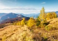 An amazing autumn panorama with a picturesque sky. Royalty Free Stock Photo