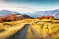 An amazing autumn panorama with a picturesque sky. Colorful autumn sunset in the Carpathians, Ukraine, Europe. Royalty Free Stock Photo