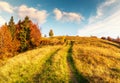 An amazing autumn panorama with a picturesque sky. Colorful autumn sunset in the Carpathians, Ukraine, Europe. Royalty Free Stock Photo