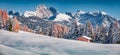 Amazing autumn scene of Dolomite Alps with first snow cowered larch and fir trees.