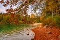 Amazing autumn scenery with Hohenschwangau castle and Alpsee Lake, Bavaria, Germany