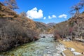 Amazing autumn season at Yading Nature Reserve in Sichuan, China