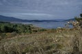 Amazing autumn view holiday village around Tsigov chark resort and Batak dam reservoir, Rhodope mountains