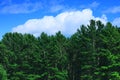 Amazing background with green forest, white clouds and blue sky Royalty Free Stock Photo