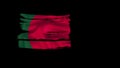 Amazing Bangladesh flag. Nationals flags of world