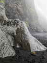 Amazing basalt rock structures at Endless Black Beach of Iceland