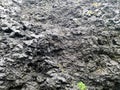 Amazing basalt rock structures at Endless Black Beach of Iceland