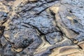 Amazing basalt rock structures at Endless Black Beach of Iceland