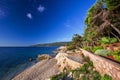 Amazing beach with crystalic clean sea water with pine trees, Istria, Croatia Royalty Free Stock Photo