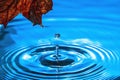 Amazing beautiful blue background. Drops making circles on water surface Royalty Free Stock Photo