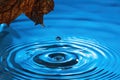 Amazing beautiful blue background. Drops making circles on water surface Royalty Free Stock Photo