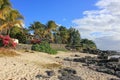 Scenic view to coastline sandy beach with black stones and blossom bushes and palm trees in village of tropical island Mauritius Royalty Free Stock Photo