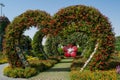 Amazing beautiful green hearts alley made from flowers in the garden