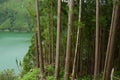 Amazing beautiful landscape view of green lagoon Lagoa do Rasa o Royalty Free Stock Photo