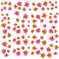 The Amazing of Beautiful Orange and Pink Flower Illustration, Pattern Wallpaper Royalty Free Stock Photo