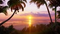 Amazing beautiful sunset over the endless ocean. Blue sky, yellow sun, palm trees, endless ocean and seascape. Summer