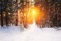 Amazing Beautiful sunset sunrise sun sunshine in sunny winter sn Royalty Free Stock Photo