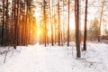 Amazing Beautiful sunset sunrise sun sunshine in sunny winter sn Royalty Free Stock Photo