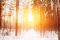 Amazing Beautiful sunset sunrise sun sunshine in sunny winter snowy Royalty Free Stock Photo