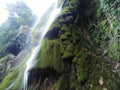 Amazing, beautifull waterfall, green nature