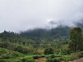 Amazing beauty of Nilgiri mountain in Kinnakorai, Tamilnadu, India. Royalty Free Stock Photo