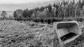 Black and white image of a old bathtub lying on a meadow with standing water Royalty Free Stock Photo