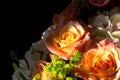 Amazing bouquet of roses lit by the sun Royalty Free Stock Photo