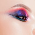 Amazing Bright eye makeup in luxurious blue shades. Pink and blue color, colored eyeshadow Royalty Free Stock Photo