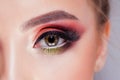 Amazing Bright eye makeup in luxurious scarlet shades. Pink and blue color, colored eyeshadow Royalty Free Stock Photo