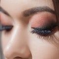 Amazing Bright eye makeup with a wide arrow. Brown and red tones, colored eyeshadow. Royalty Free Stock Photo