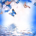 Amazing butterfly fairy of flowers Royalty Free Stock Photo