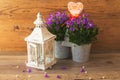 Amazing candlestick lamp and beautiful campanula flowers.