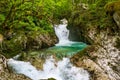 Beautiful stream and cascades in lush green forest. Sunikov vodni gaj, Soca river, Slovenia. Royalty Free Stock Photo