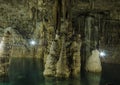 An Amazing Cenote