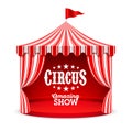 Amazing Circus Show poster background.