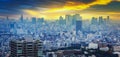 Amazing cityscape of Tokyo metropolis at sunset, Japan Royalty Free Stock Photo