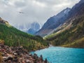 Amazing clear mountain lake in forest among fir trees in dramati Royalty Free Stock Photo