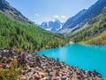 Amazing clear mountain lake in forest among fir trees in sunshine. Bright scenery with beautiful turquoise lake against the Royalty Free Stock Photo