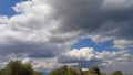 Amazing cloudscape with tree foliage silhouettes